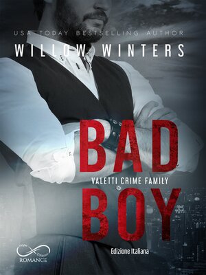 cover image of Bad Boy